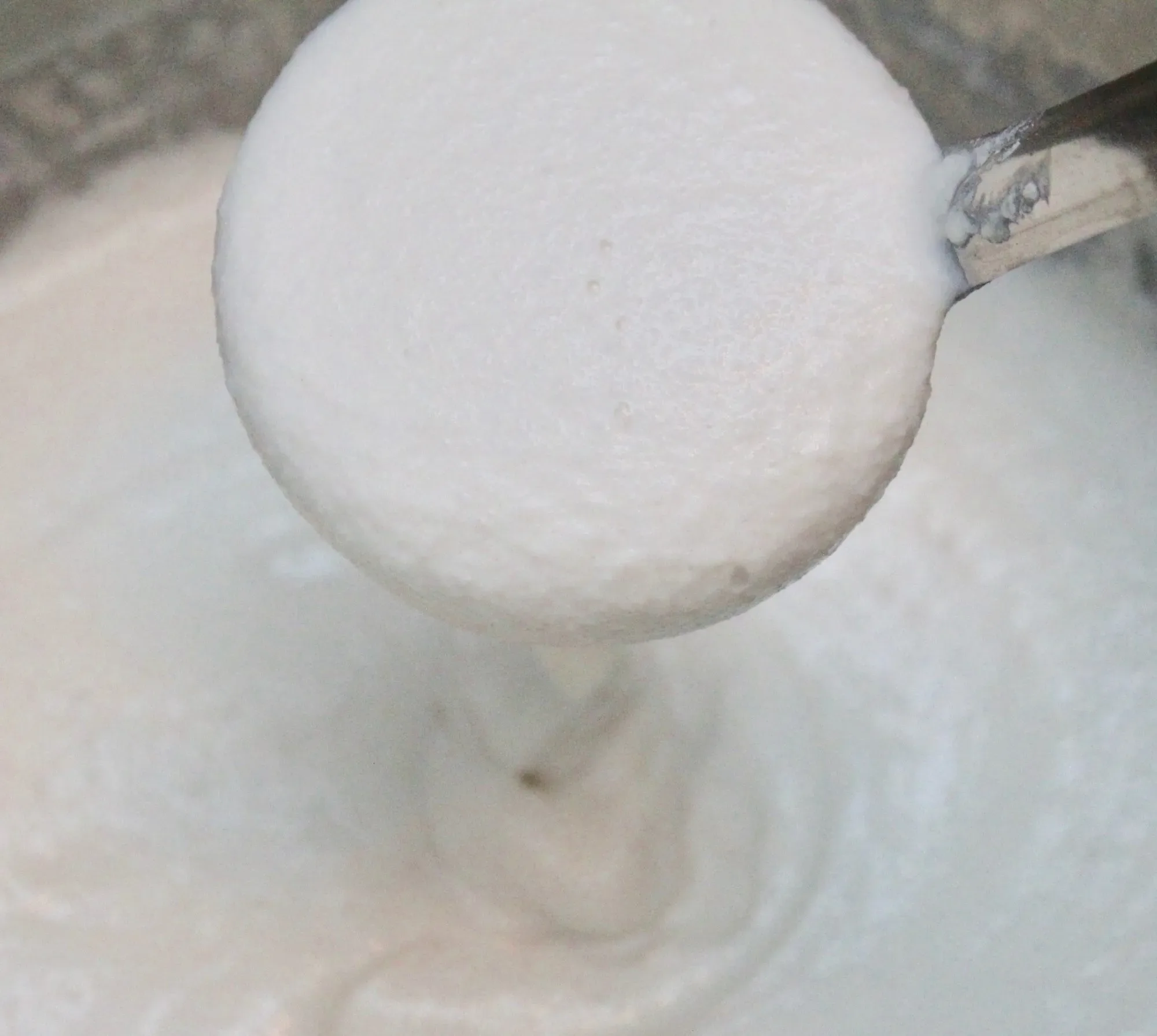 Idli batter fermenting in a bowl, a traditional South Indian preparation